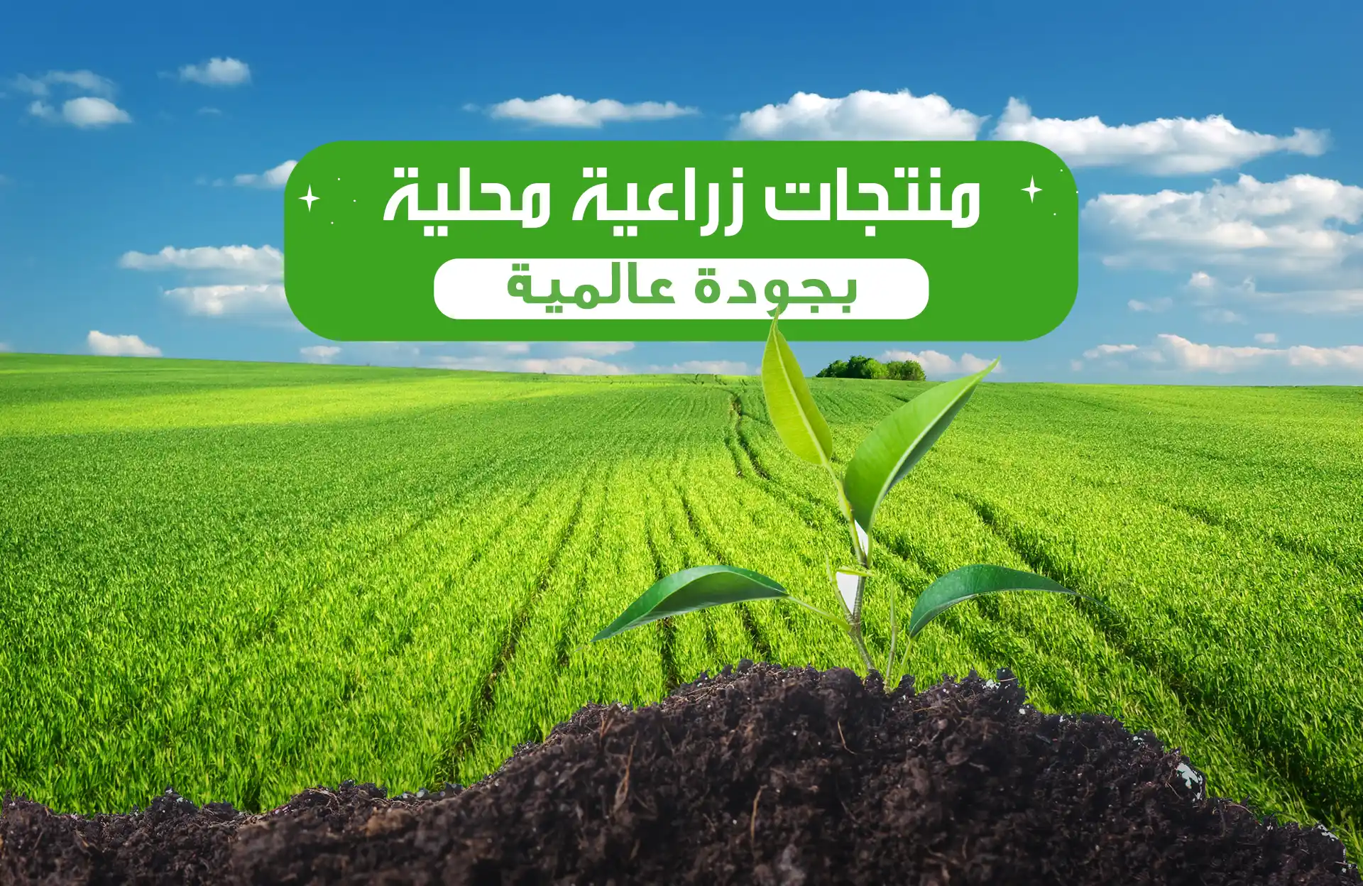 منتجات زراعية محلية بجودة عالمية (2)